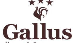 Gallus-710x375